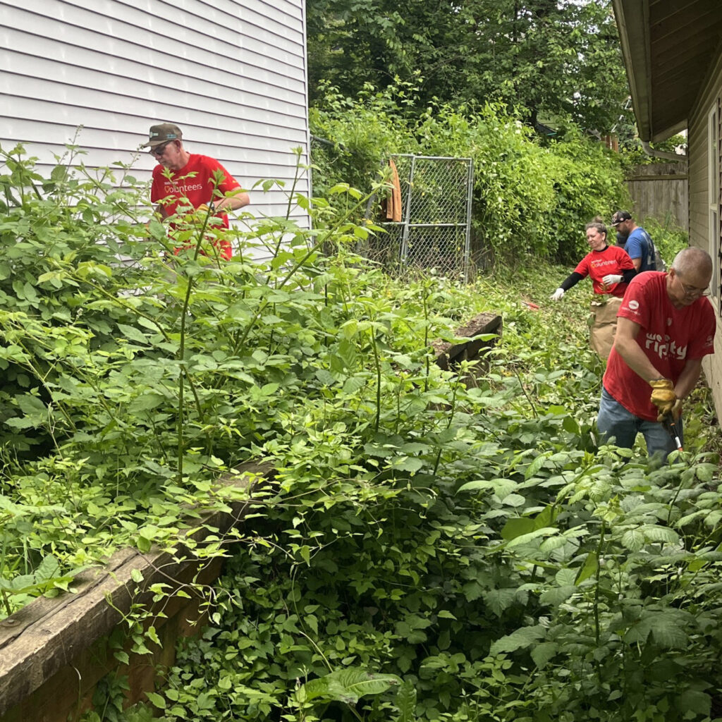 A side yard overgrown with green plants being worked on by people in red t-shirts
